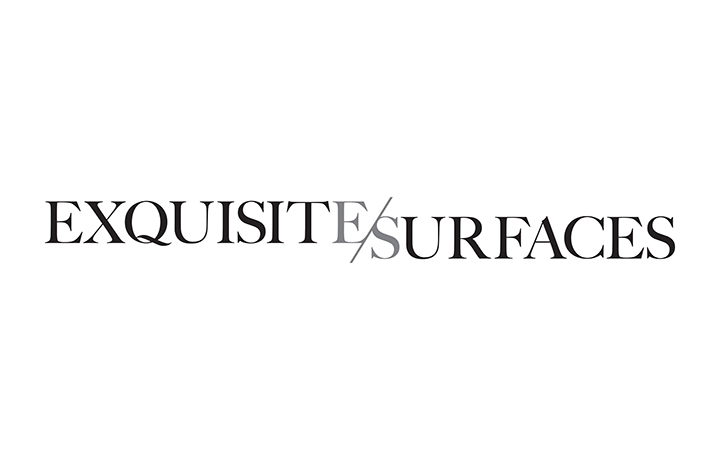 Exquisite Surfaces Logo
